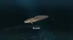 Игра Ultimate Fishing Simulator – New Fish Species (Steam; PC; Регион активации РФ+Страны СНГ)