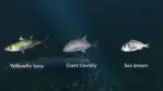 Игра Ultimate Fishing Simulator – New Fish Species (Steam; PC; Регион активации РФ+Страны СНГ)