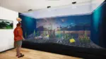 Игра Aquatic Store Simulator (Steam; PC; Регион активации Весь Мир)