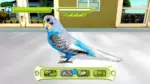 Игра My Vet Practice (Steam; PC; Регион активации Весь Мир)