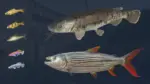 Игра Ultimate Fishing Simulator — Kariba Dam (Steam; PC; Регион активации РФ+Страны СНГ)