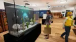 Игра Aquatic Store Simulator (Steam; PC; Регион активации Весь Мир)