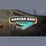 Игра Ultimate Fishing Simulator - Kariba Dam (Steam; PC; Регион активации РФ+Страны СНГ)
