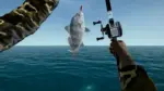 Игра Ultimate Fishing Simulator — Florida (Steam; PC; Регион активации РФ+Страны СНГ)