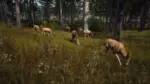 Игра Way of the Hunter (Steam; PC; Регион активации РФ+Страны СНГ)