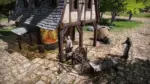Игра The Guild 3 (Steam; PC; Регион активации РФ+Страны СНГ)