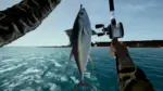 Игра Ultimate Fishing Simulator — Florida (Steam; PC; Регион активации РФ+Страны СНГ)