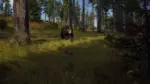 Игра Way of the Hunter (Steam; PC; Регион активации РФ+Страны СНГ)