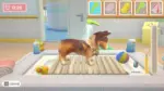 Игра My Universe: Pet Clinic Cats&Dogs (Steam; PC; Регион активации РФ+Страны СНГ)