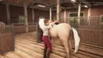 Игра My Horse: Bonded Spirits (Steam; PC; Регион активации Весь Мир)