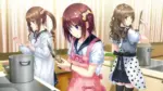 Игра Iwaihime (Steam; PC; Регион активации Весь Мир)