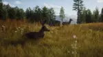 Игра Way of the Hunter (Steam; PC; Регион активации РФ+Страны СНГ)