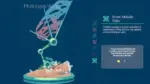 Игра InnerSpace (Steam; PC, Mac; Регион активации Весь Мир)