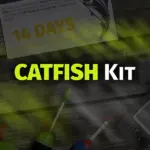 Игра Professional Fishing: Catfish Kit (Steam; PC; Регион активации Весь Мир)
