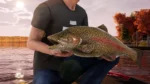 Игра Fishing Sim World: Pro Tour – Deluxe Edition (Steam; PC; Регион активации РФ+Страны СНГ)