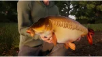 Игра Fishing Sim World: Pro Tour – Giant Carp Pack (Steam; PC; Регион активации РФ+Страны СНГ)
