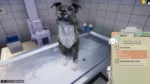 Игра Animal Shelter — Vet Clinic DLC (Steam; PC; Регион активации Весь Мир)