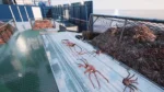 Игра Fishing: Barents Sea — King Crab (Steam; PC; Регион активации Весь Мир)