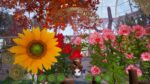 Игра Bee Simulator: The Hive (Steam; PC; Регион активации РФ+Страны СНГ)