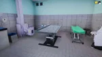 Игра Animal Shelter — Vet Clinic DLC (Steam; PC; Регион активации Весь Мир)