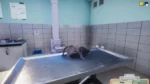 Игра Animal Shelter — Vet Clinic DLC (Steam; PC; Регион активации Весь Мир)