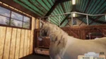 Игра Animal Shelter — Horse Shelter DLC (Steam; PC; Регион активации Весь Мир)