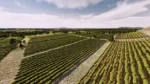 Игра Railway Empire — France (Steam; PC; Регион активации РФ+Страны СНГ)