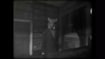Игра Cat Detective Albert Wilde (Steam; PC; Регион активации Весь Мир)
