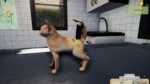 Игра Animal Shelter — Puppies & Kittens DLC (Steam; PC; Регион активации Весь Мир)