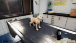 Игра Animal Shelter — Puppies & Kittens DLC (Steam; PC; Регион активации Весь Мир)
