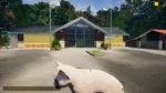 Игра Animal Shelter — Puppies & Kittens DLC (Steam; PC; Регион активации Весь Мир)