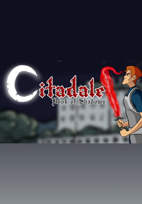 Игра Citadale Resurrection – Book of Shadows DLC (Steam; PC; Регион активации Весь Мир)