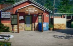 Игра Animal Shelter (Steam; PC; Регион активации Весь Мир)