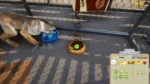Игра Animal Shelter (Steam; PC; Регион активации Весь Мир)