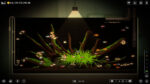 Игра Joyquarium (Steam; PC; Регион активации Весь Мир)