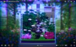 Игра Joyquarium (Steam; PC; Регион активации Весь Мир)