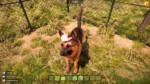 Игра Animal Shelter 2 (Steam; PC; Регион активации Весь Мир)