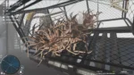 Игра Deadliest Catch: The Game (Steam; PC; Регион активации Весь Мир)