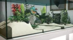 Игра Aquarium Designer (Steam; PC, Mac; Регион активации РФ)