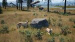 Игра Railroads Online — Explorer DLC (Steam; PC; Регион активации Страны СНГ)
